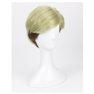 erwin-wig.png